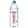 Evian Bottled Natural Spring Water 1L, 12/Case