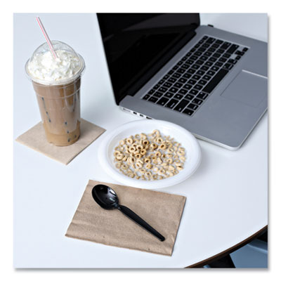 Individually Wrapped Heavy Weight Polypropylene Teaspoon 1,000/case