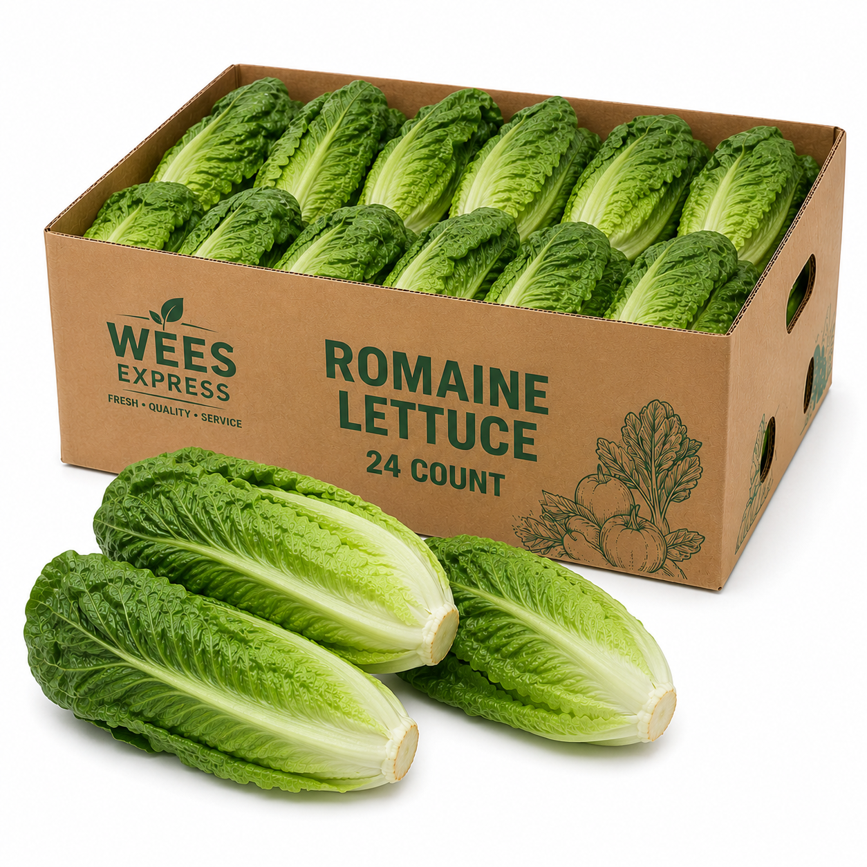 Romaine Lettuce Heads 24ct