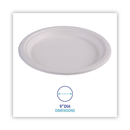 9" White Bagasse Dinnerware 500/Cs