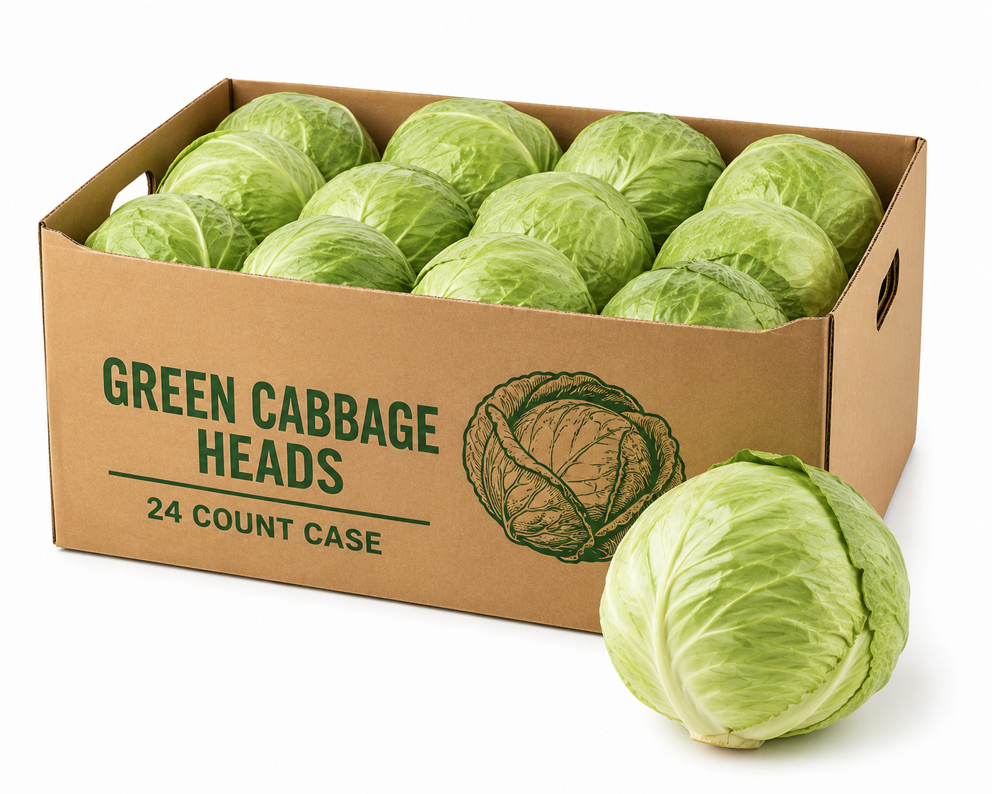Green cabbage heads 24 count case for Metro Detroit local delivery