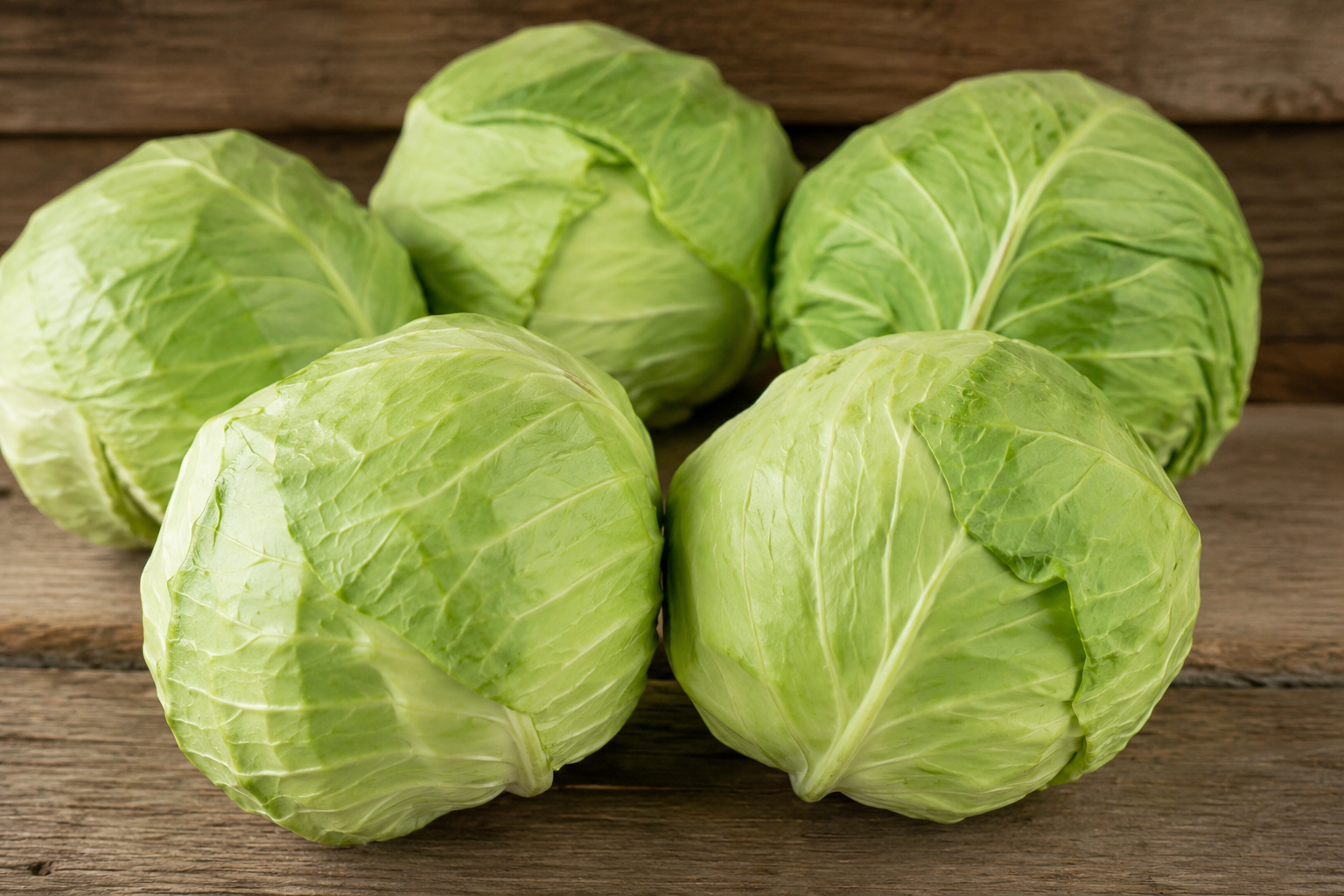 Whole green cabbage head for restaurant produce delivery