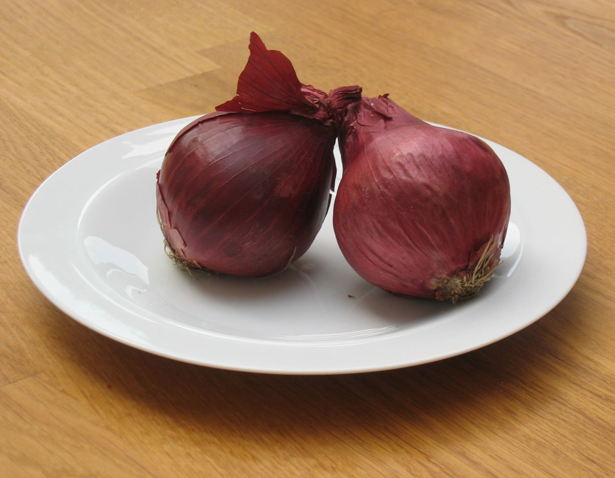 Whole red onions, representative product view; sold in a 25 lb unit, brand and appearance may vary