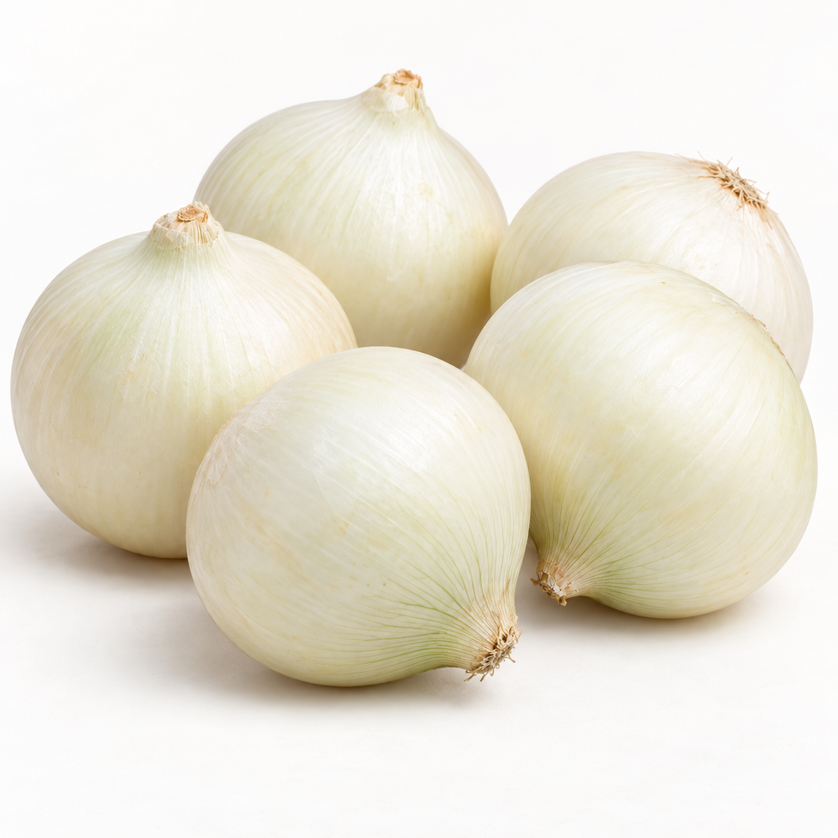 Representative whole white onions on a light background; sample view for the 50 lb product