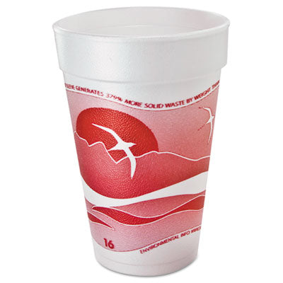 16oz Horizon Foam Drink Cups, 1000/Case