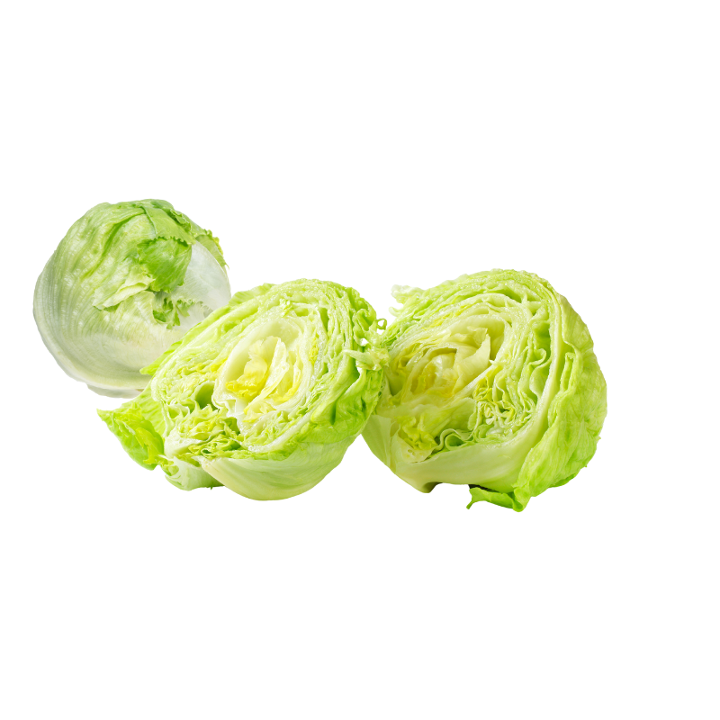 Iceberg Lettuce