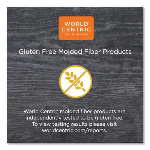9x6x3 World Centric Fiber Hoagie Clamshell Container 500/Case